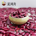 500g vacuum packing organic dark red kidney bean hot sale for supermarket